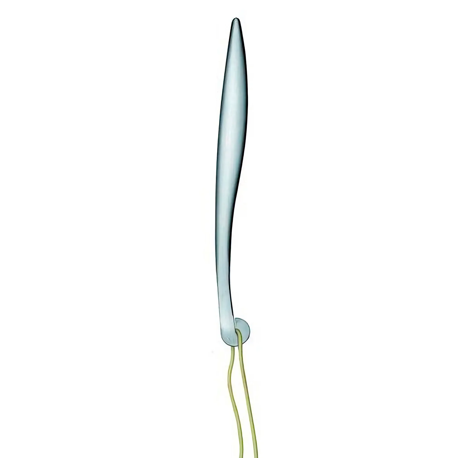 Al Dente Spaghetti Tester - Image 2
