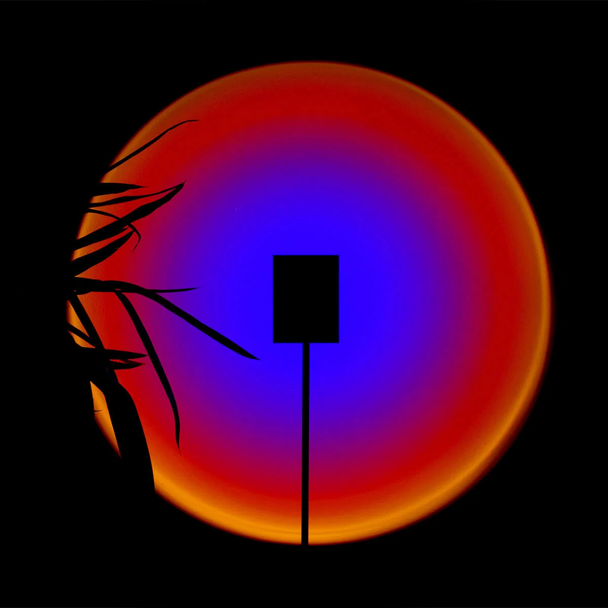 Halo One - Image 4