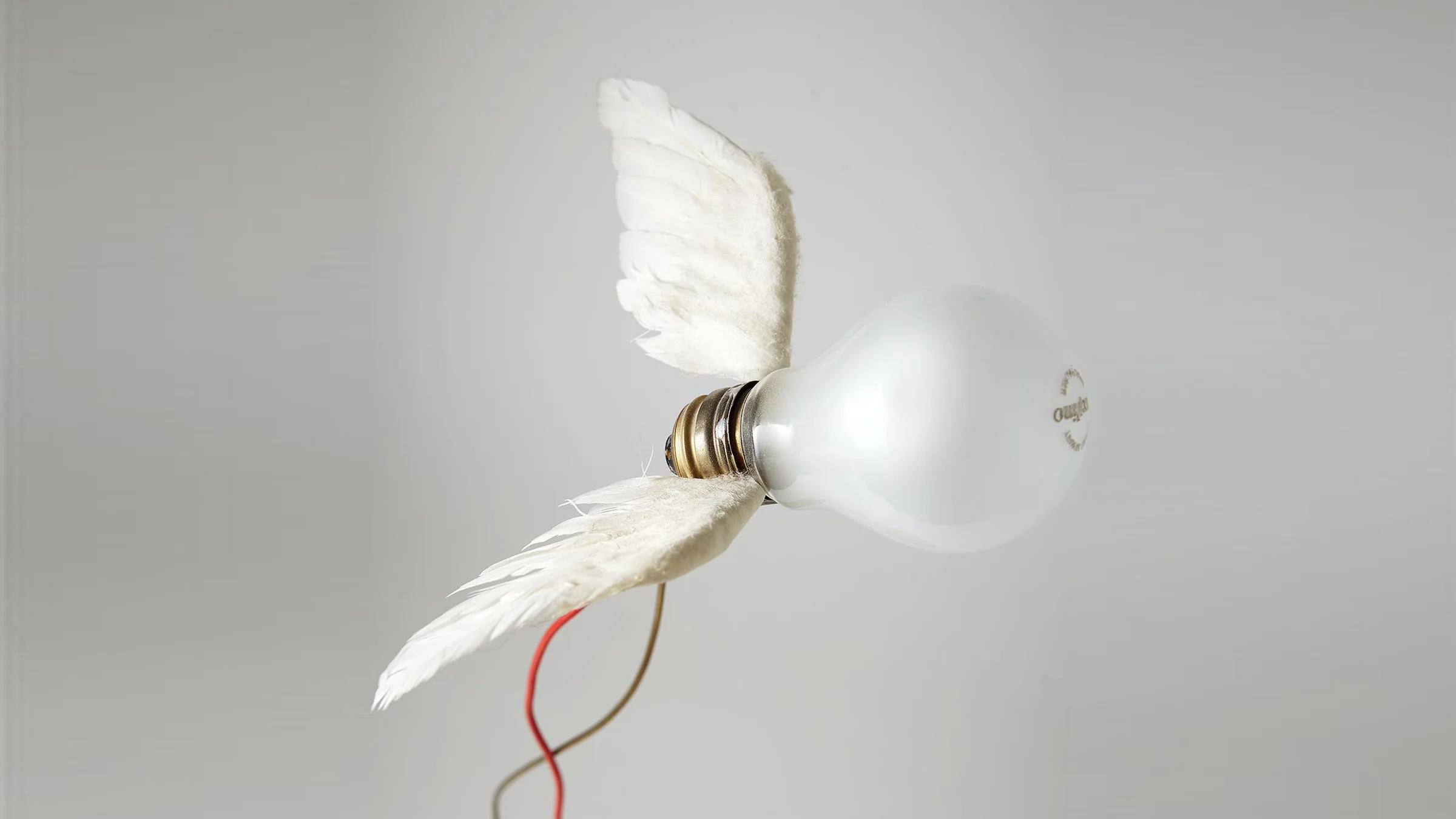 Lucellino LED Table Lamp - Image 5