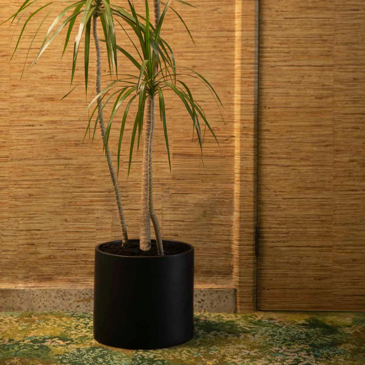 Model One Ceramic Planter - Image 2