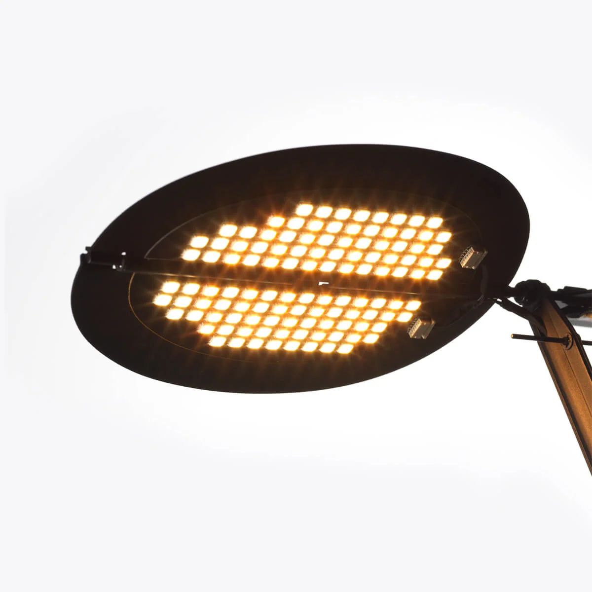 Sage LED Table Lamp - Image 3