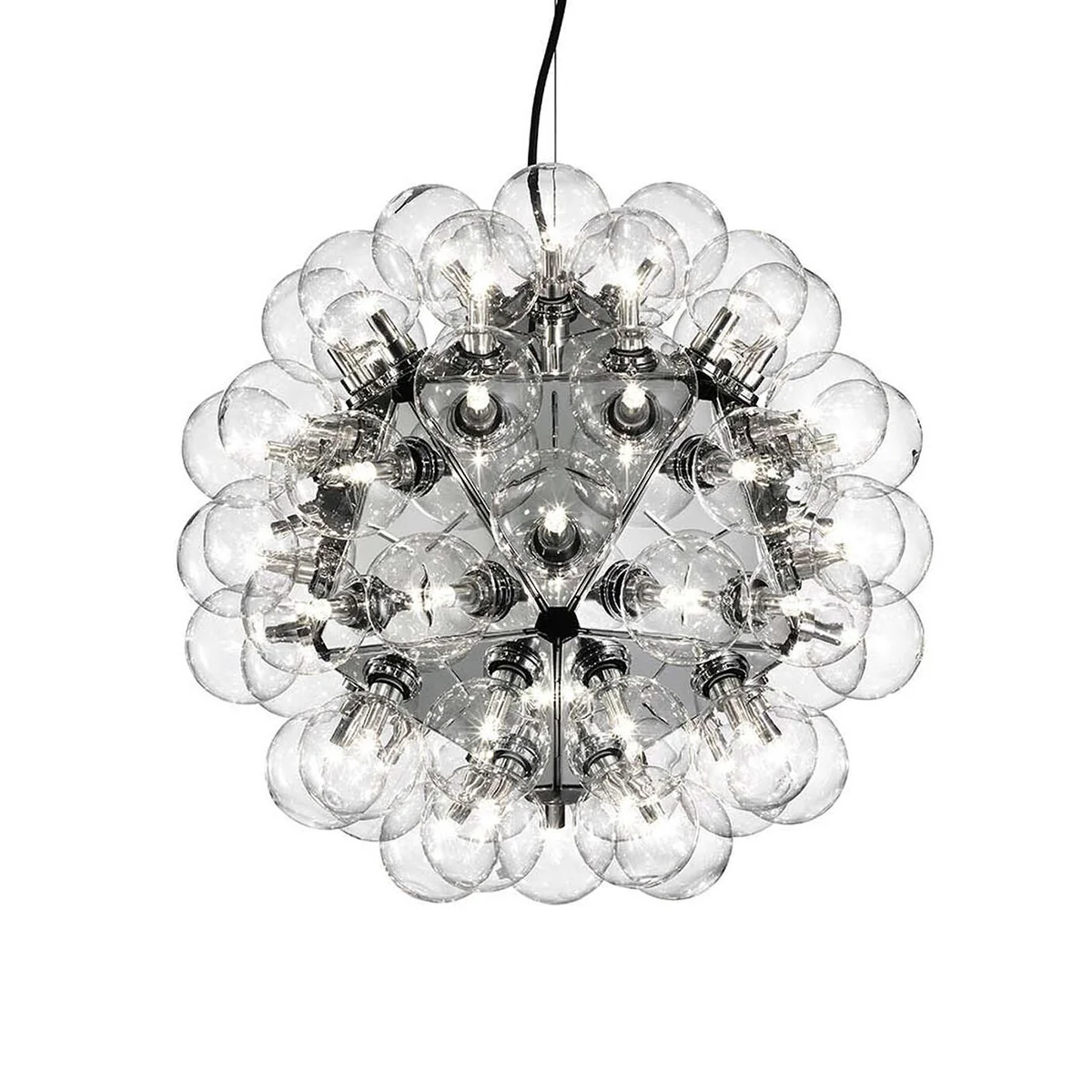 Taraxacum 88 Suspension 1
