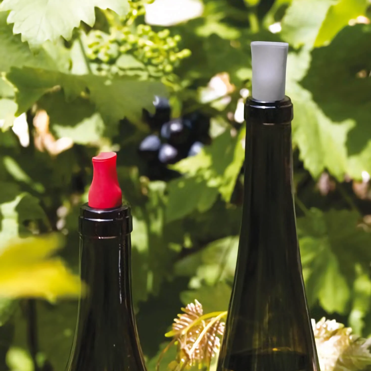 The Stopper Wine Stop - Image 4