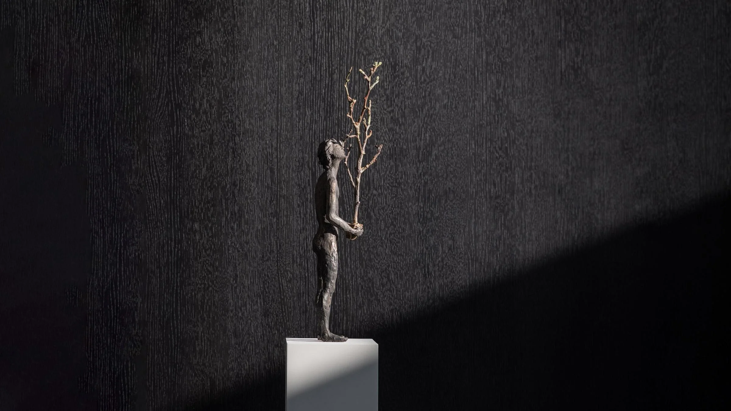 Thoughts III - The Tree - Image 6