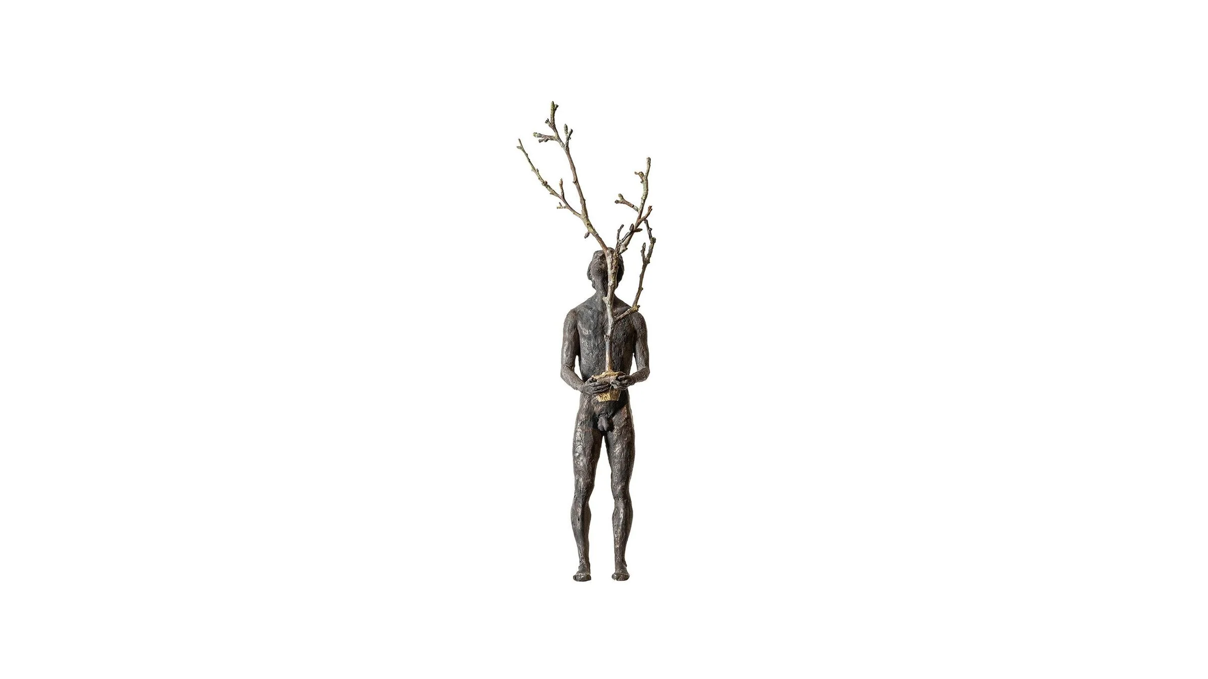 Thoughts III - The Tree - Image 8