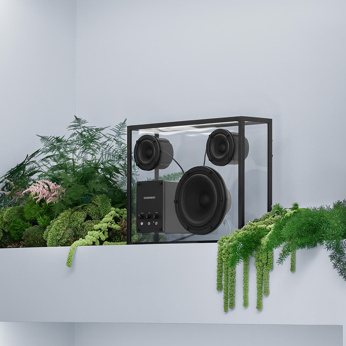 Transparent Speaker - Image 33