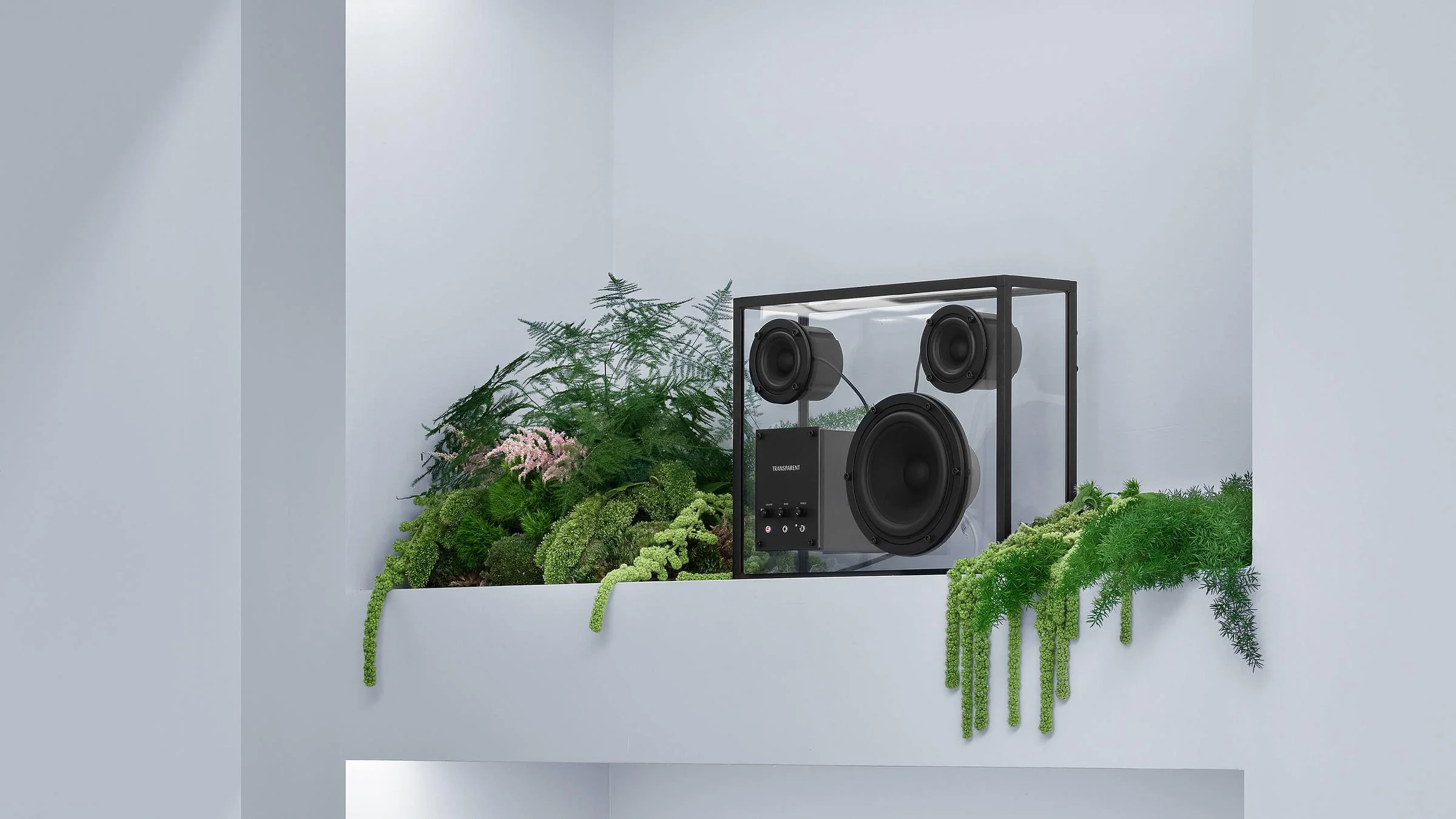 Transparent Speaker - Image 34