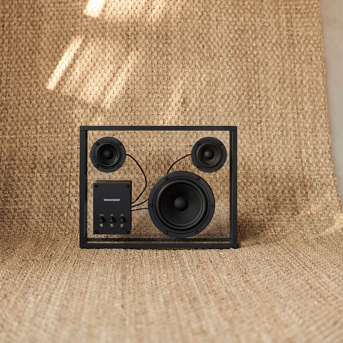 Transparent Speaker - Image 39
