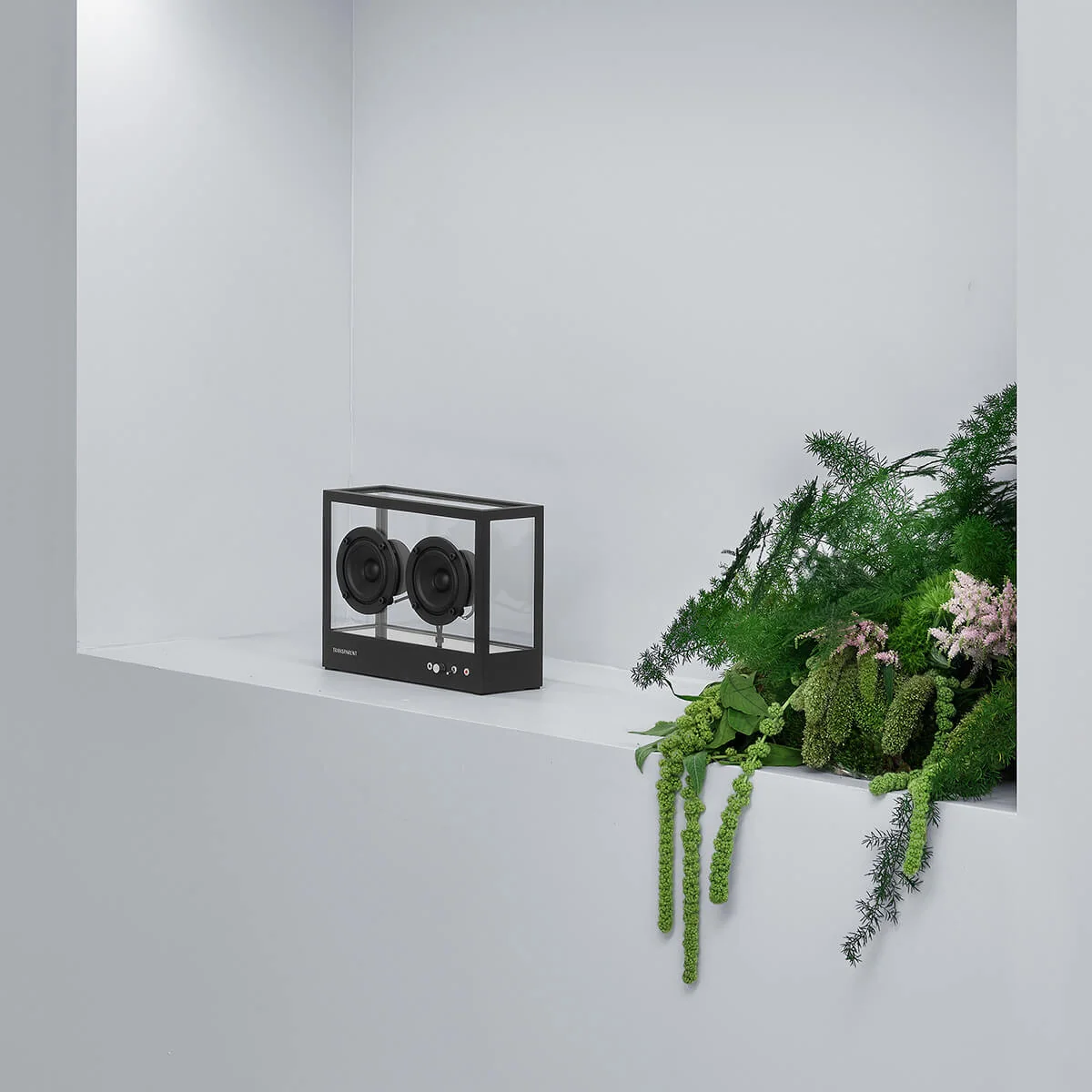 Transparent Speaker - Small - Image 14