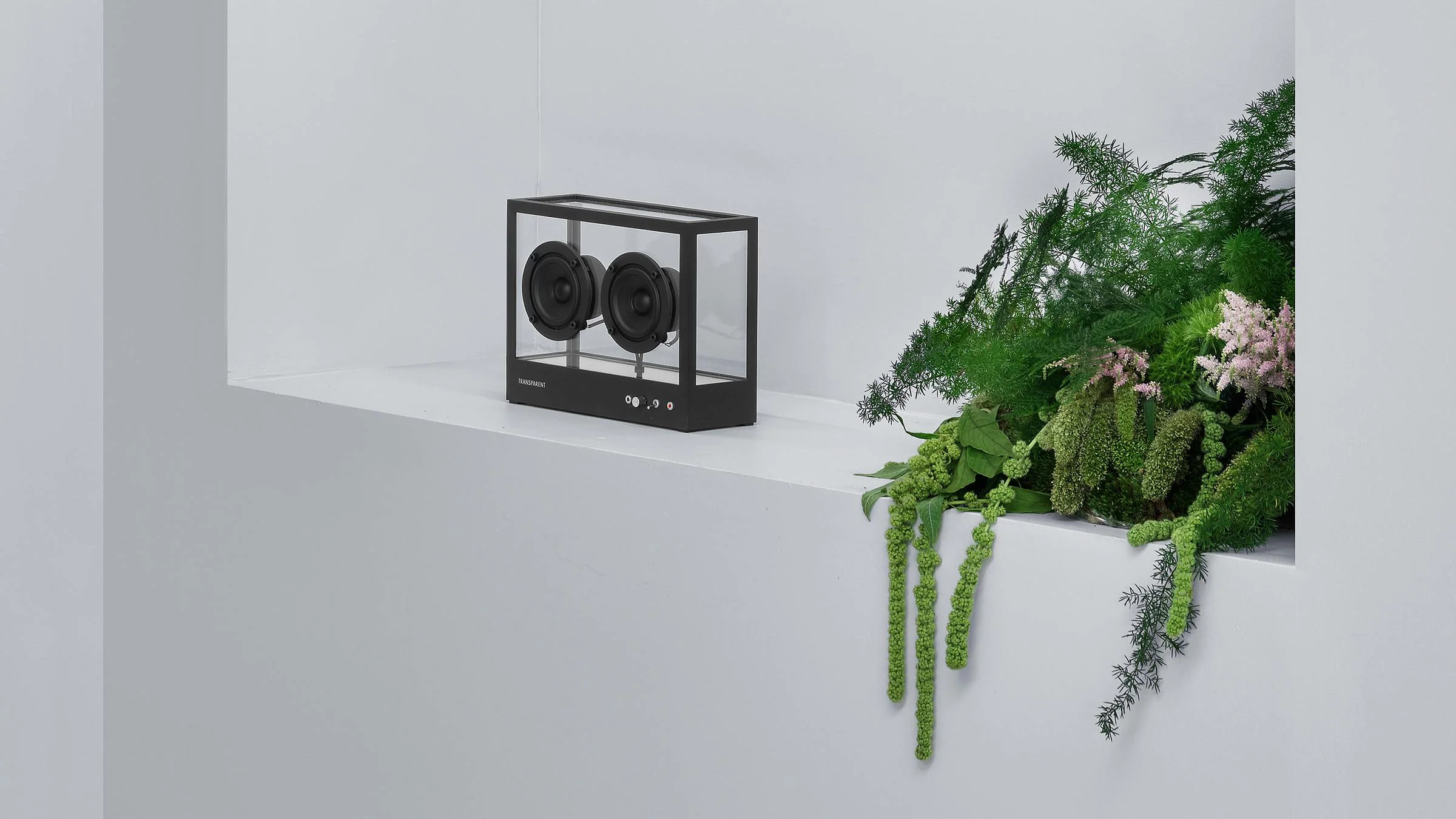 Transparent Speaker - Small - Image 15